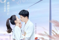 不说谎恋人电视剧免费观看,揭秘甜蜜爱情背后的秘密