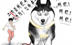 二哈漫画,欢乐逗趣，治愈心灵