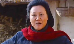 王丽云电视剧,演绎人生百态，诠释时代变迁