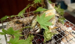 胡麻豆,营养丰富的健康之选