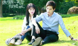 微微一笑很倾城电视剧演员表,青春校园爱情剧星光熠熠