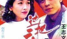 90年代电视剧大全集,90年代电视剧大全集回顾