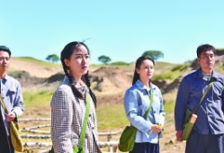 最美的青春电视剧全集,青春岁月里的奋斗与成长