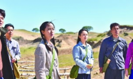 最美的青春电视剧全集,青春岁月里的奋斗与成长