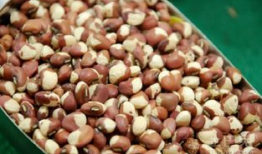 白麻豆,探寻古老植物的神奇魅力