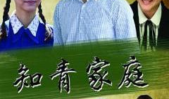 电视剧知青家庭全集在线观看,知青家庭全集在线观看，重温激情燃烧的岁月