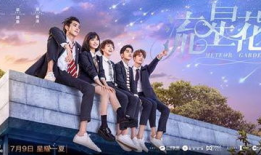 流星 电视剧,穿越时空的浪漫传奇
