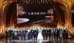 电视剧品质盛典,璀璨星光下的品质盛宴
