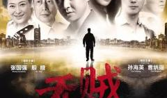 无贼电视剧演员表,实力派明星齐聚一堂，演绎惊心动魄的盗宝传奇