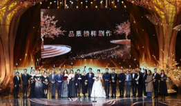 中国电视剧品质盛典,中国电视剧品质盛典年度佳作盘点