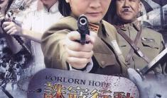 诛寇行动 电视剧,正义之师，荡平邪恶，守护家园