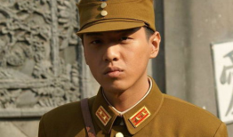 雪豹 电视剧,雪域雄狮的传奇征程