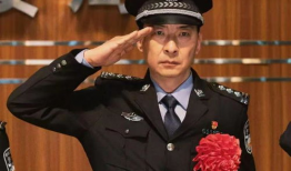 关于警察的电视剧,正义与勇气的较量