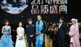 电视剧品质盛典,璀璨星光下的品质盛宴