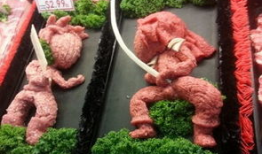 肉肉漫画,趣味横生的动物世界