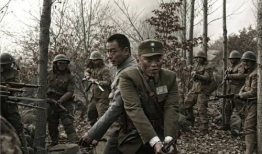 老兵 电视剧,烽火岁月里的忠诚与信仰