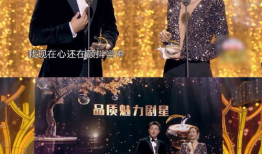 电视剧品质盛典,璀璨星光下的品质盛宴