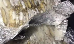 白麻豆,探寻古老植物的神奇魅力