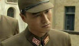 雪豹 电视剧,雪域雄狮的传奇征程