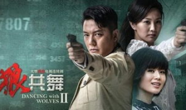 与狼共舞2电视剧,草原传奇再续辉煌