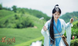 鞠婧炜电视剧,穿越时空的美丽传奇