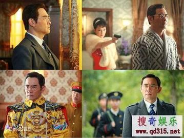 末代皇帝电视剧,宫廷风云下的传奇人生